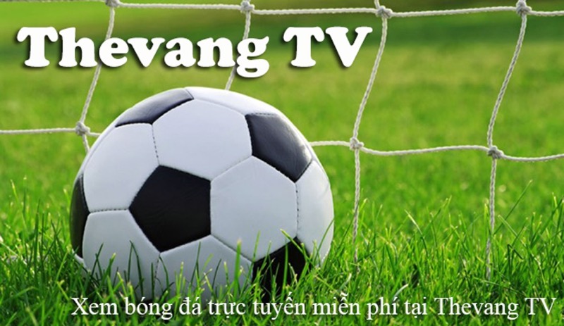 Thevang TV – Địa chỉ xem bóng đá trực tiếp an toàn và miễn phí